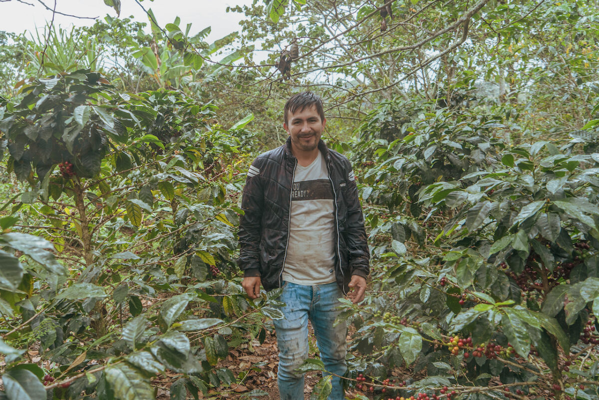 ペルーのコーヒー農園Romelio