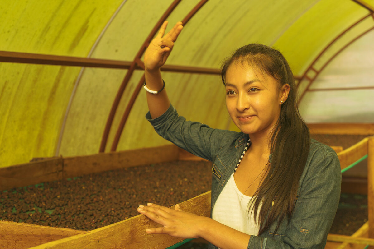 ボリビアのコーヒー農園Sempiterno