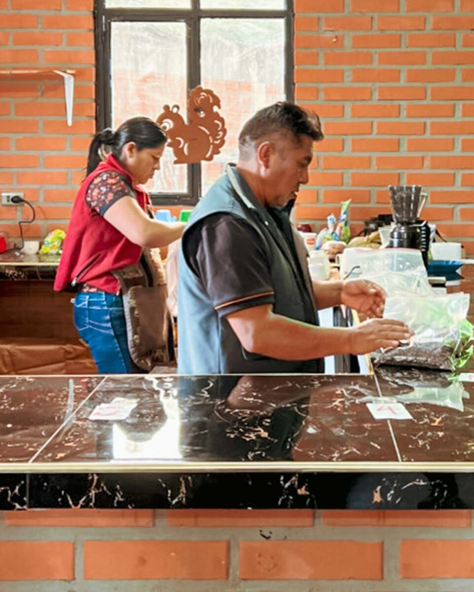 볼리비아의 커피 농원에서 06