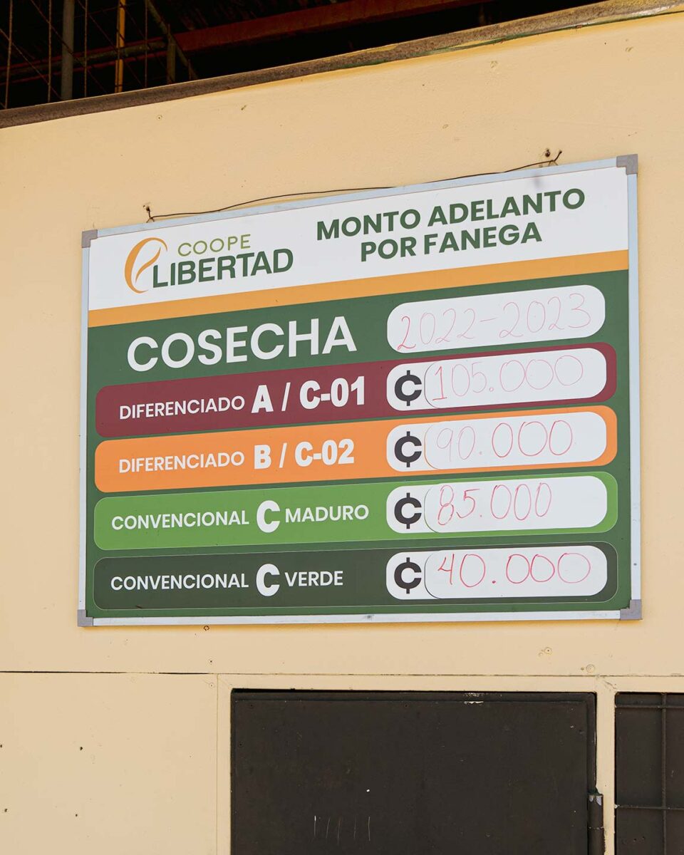 コスタリカでスペシャルティコーヒーを生産するCoopelibertad03