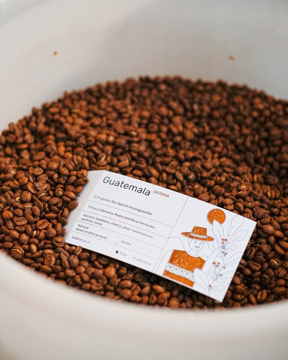 Guatemalan coffee beans at Triple Five Coffee, a specialty coffee roastery in Slovakia