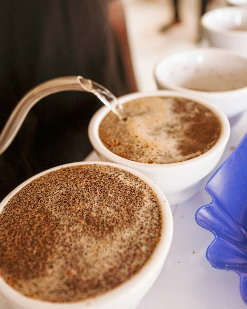 ウガンダでスペシャルティコーヒーを輸出するMountain Harvestでカッピング01