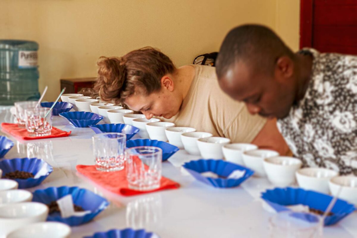ウガンダでスペシャルティコーヒーを輸出するMountain Harvestでカッピング02